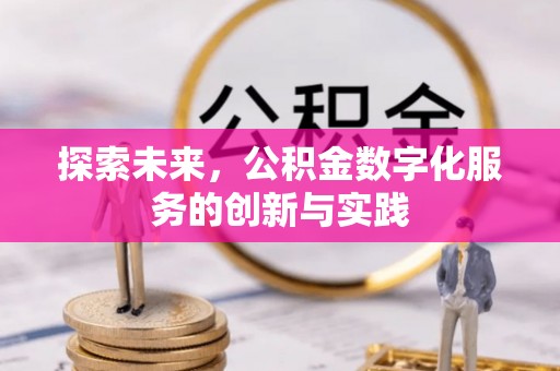 嵩县探索未来，公积金数字化服务的创新与实践