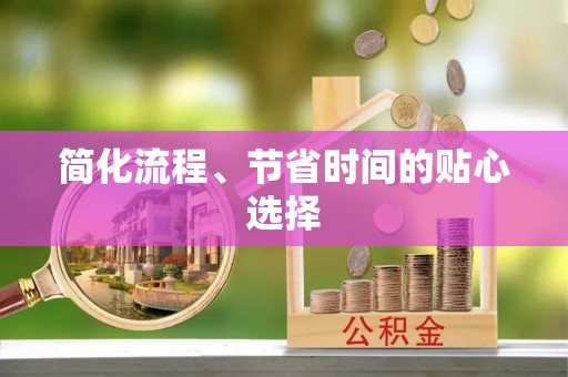 嵩县简化流程、节省时间的贴心选择