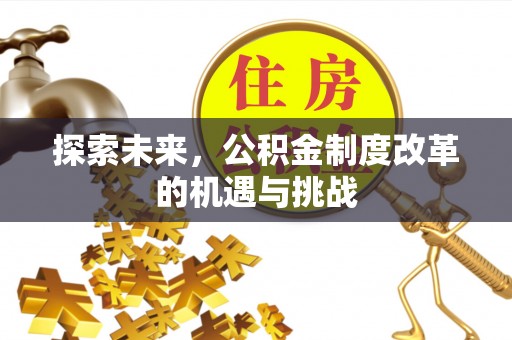 嵩县探索未来，公积金制度改革的机遇与挑战