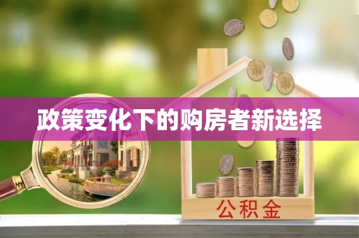 嵩县政策变化下的购房者新选择