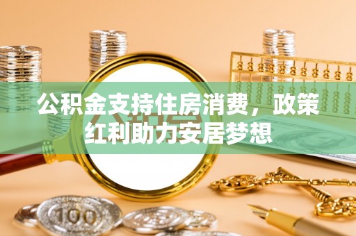 嵩县公积金支持住房消费，政策红利助力安居梦想