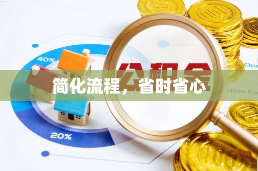 嵩县简化流程，省时省心