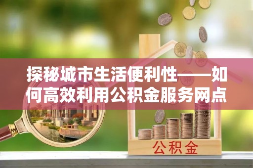 嵩县探秘城市生活便利性——如何高效利用公积金服务网点查询工具