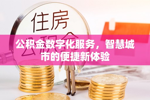 嵩县公积金数字化服务，智慧城市的便捷新体验