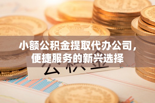 嵩县小额公积金提取代办公司，便捷服务的新兴选择