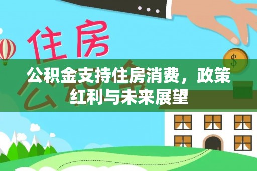 嵩县公积金支持住房消费，政策红利与未来展望