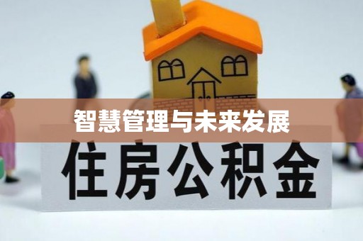嵩县智慧管理与未来发展