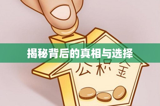 嵩县揭秘背后的真相与选择