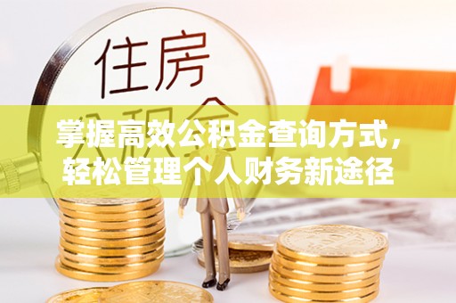 嵩县掌握高效公积金查询方式，轻松管理个人财务新途径