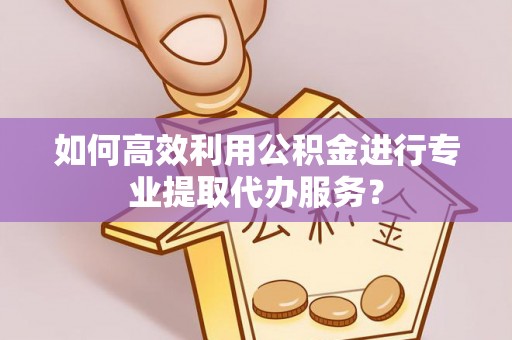 嵩县如何高效利用公积金进行专业提取代办服务？