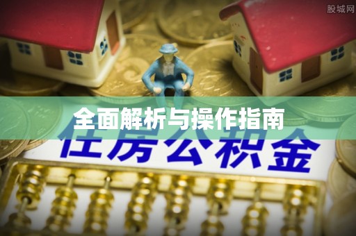 嵩县全面解析与操作指南