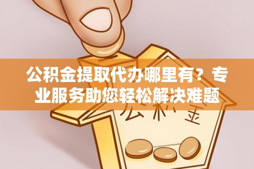 嵩县公积金提取代办哪里有？专业服务助您轻松解决难题
