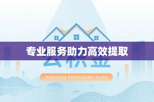 嵩县专业服务助力高效提取