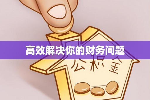 嵩县高效解决你的财务问题