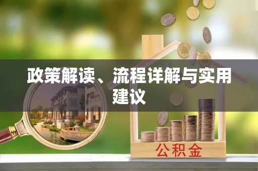 嵩县政策解读、流程详解与实用建议