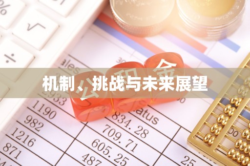 嵩县机制、挑战与未来展望