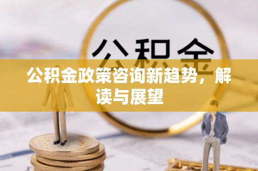 嵩县公积金政策咨询新趋势，解读与展望