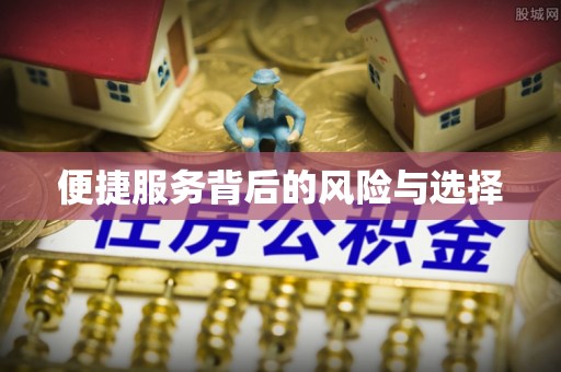 嵩县便捷服务背后的风险与选择