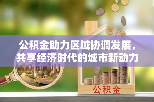 嵩县公积金助力区域协调发展，共享经济时代的城市新动力