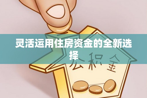 嵩县灵活运用住房资金的全新选择