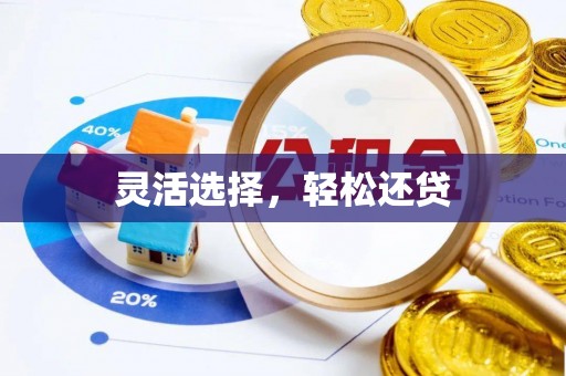 嵩县灵活选择，轻松还贷