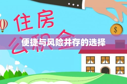 嵩县便捷与风险并存的选择