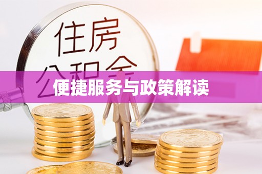 嵩县便捷服务与政策解读
